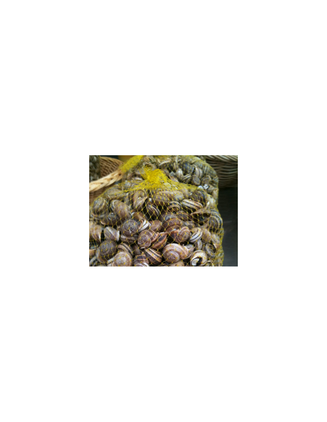 Bobina de malla ancha para ajos, caracoles, mejillones, nueces.., vista 2